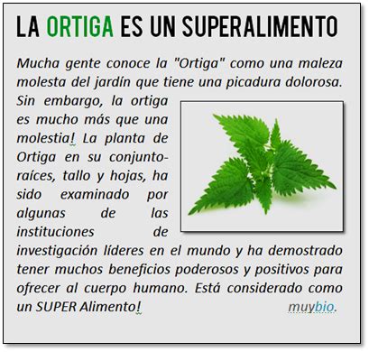 ortiga health benefits